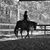 Jirah Farms's profile image