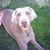 Angie Zuspann Wagner's profile image