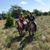 Lynn Bleuer Rydzewski's profile image