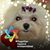 Debbie Yarger's profile image