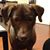 Dorothy Setzer's profile image