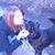 Laurie Elseroad's profile image