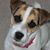 Jeri Adams's profile image