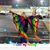 Renetta Mangan's profile image