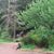 Michele Bodner's profile image