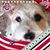 Tami Yost's profile image