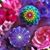Kelly Petrus's profile image