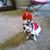 Caroline Foust's profile image