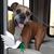 Carrie Leann Ashley's profile image