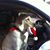 Bill Royer's profile image