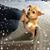 Ludim Cuevas's profile image