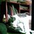Nathalie Gillespie Fuller's profile image