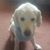 Heather Pie Vandewalle's profile image