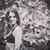 Lauren Blake Cobb's profile image