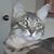 Karen Fryman's profile image