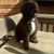 Ray Eisenberg's profile image