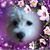 Annie Baez Haller's profile image