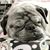 Wayne Luke's profile image