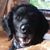 Troy Konnick's profile image
