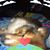 Bruce Llewelyn's profile image