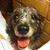 Charlien Bispo's profile image
