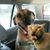 Lorelei Jamuna's profile image