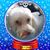 Denise Centoni-LaDuke's profile image