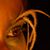 Nicte Ha Guerrero's profile image