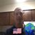 Nicholas Eshelman's profile image