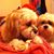 Janeil Heywood's profile image