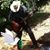Shane Hix's profile image