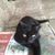 Kathleen Marie's profile image