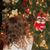 Elida Petrella's profile image