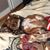 Vittoria Mejia's profile image