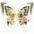 Chiquita Quiet Love's profile image