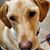 Polly Oliver's profile image