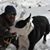 Brian Aaron Mizelle's profile image