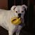 Heidi Evans-St Ores's profile image