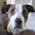 Fergus Macomber's profile image