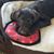 Laurie Saylor Barth's profile image