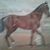 Pamela Perkins's profile image