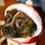 Eddie Crabbe's profile image