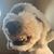 Robin Spilko-Prensky's profile image