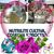 Chiqilla Fresa's profile image