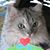 Judy Tindall Monell's profile image