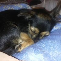 Marne Sayre's profile image