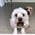 Sheryl Kane's profile image
