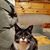 Tom Bat's profile image