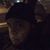 Chris Balandran's profile image