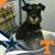 Dahryl Turner's profile image